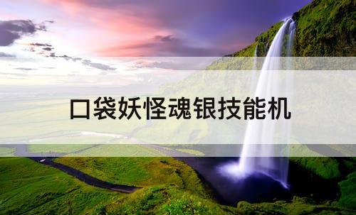 口袋妖怪魂银技能机