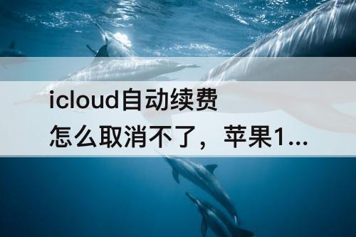 icloud自动续费怎么取消不了，苹果13icloud自动续费怎么取消不了
