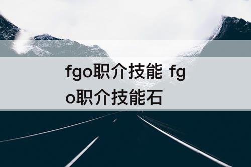 fgo职介技能 fgo职介技能石