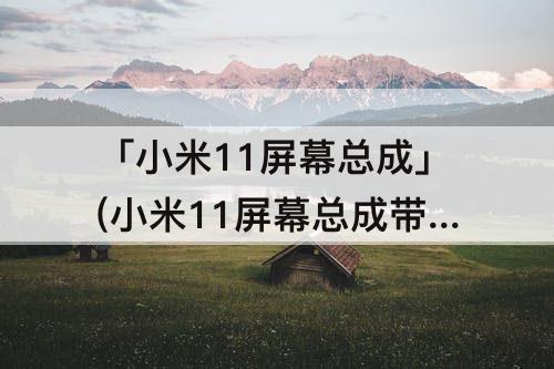 「小米11屏幕总成」(小米11屏幕总成带边框吗)