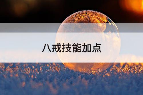 八戒技能加点