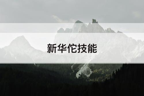 新华佗技能