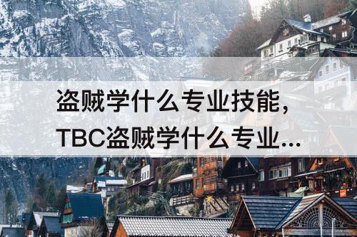 盗贼学什么专业技能，TBC盗贼学什么专业技能