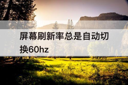屏幕刷新率总是自动切换60hz