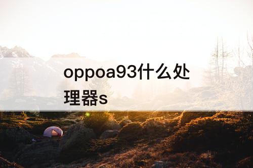 oppoa93什么处理器s