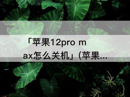 「苹果12pro max怎么关机」(苹果12pro max怎么关机视频)