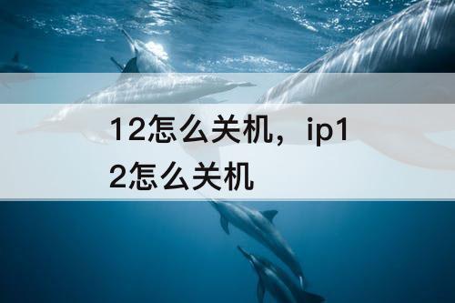 12怎么关机，ip12怎么关机