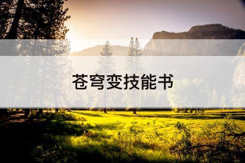 苍穹变技能书