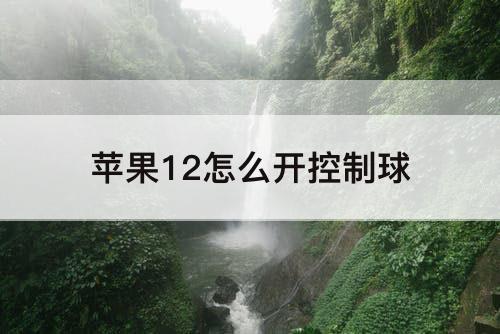 苹果12怎么开控制球