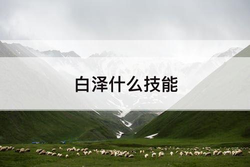 白泽什么技能