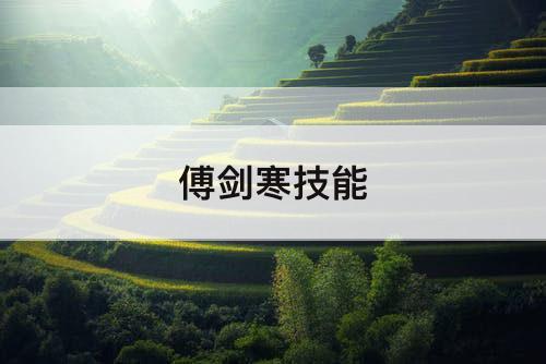 傅剑寒技能