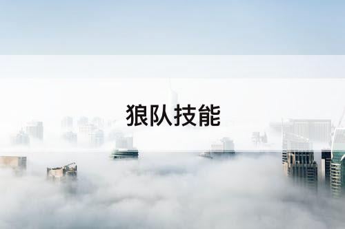 狼队技能