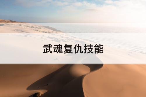 武魂复仇技能