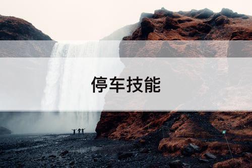 停车技能