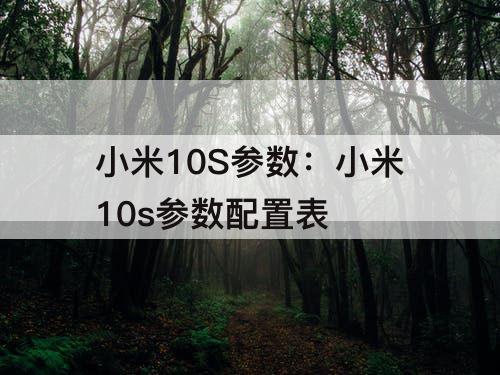 小米10S参数：小米10s参数配置表