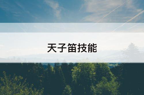 天子笛技能