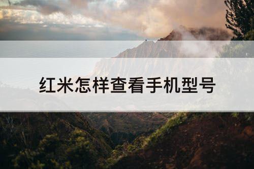 红米怎样查看手机型号