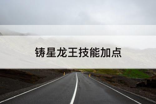 铸星龙王技能加点