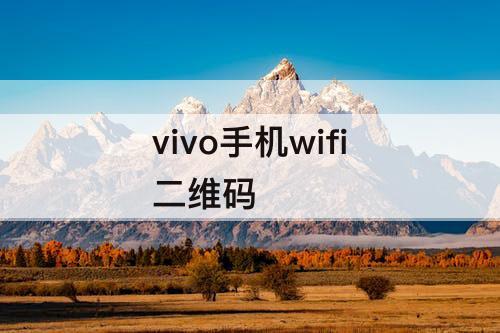 vivo手机wifi二维码