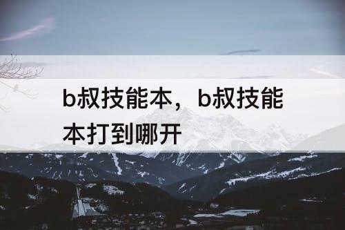 b叔技能本，b叔技能本打到哪开