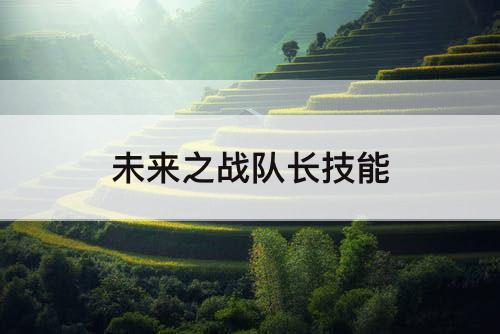 未来之战队长技能