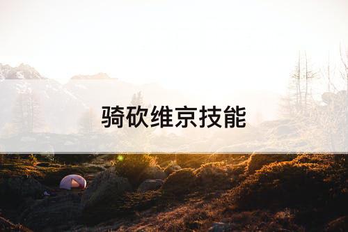 骑砍维京技能
