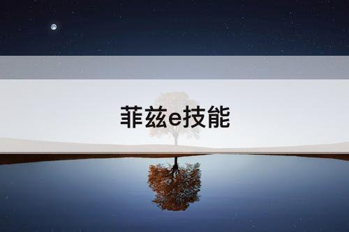 菲兹e技能
