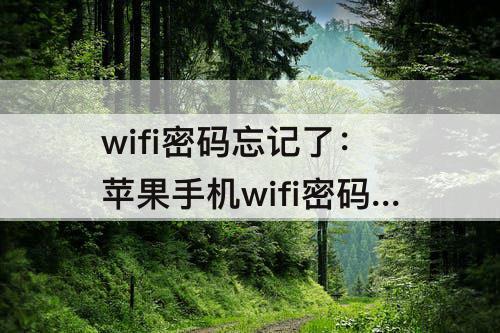 wifi密码忘记了：苹果手机wifi密码忘记了怎么查看密码