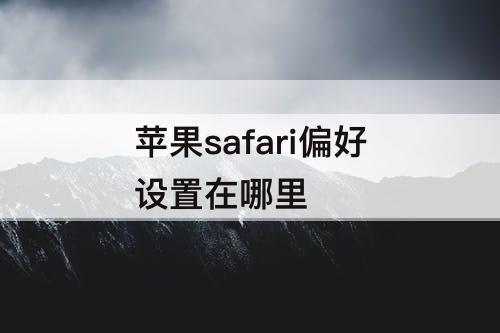 苹果safari偏好设置在哪里