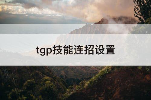 tgp技能连招设置