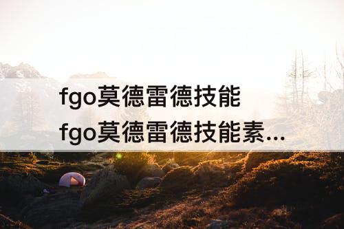 fgo莫德雷德技能 fgo莫德雷德技能素材