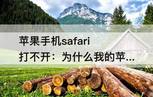 苹果手机safari打不开：为什么我的苹果手机safari打不开网页