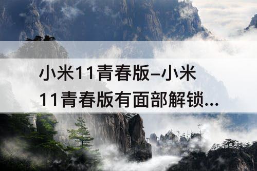 小米11青春版-小米11青春版有面部解锁吗