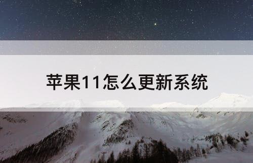 苹果11怎么更新系统