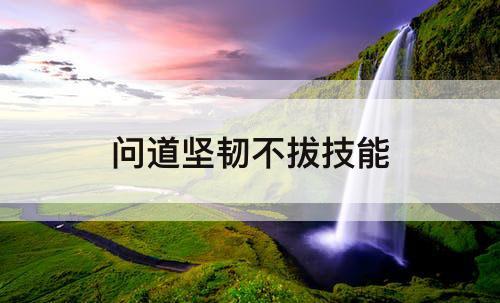 问道坚韧不拔技能