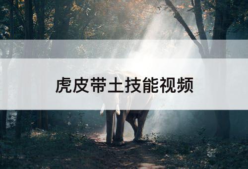 虎皮带土技能视频