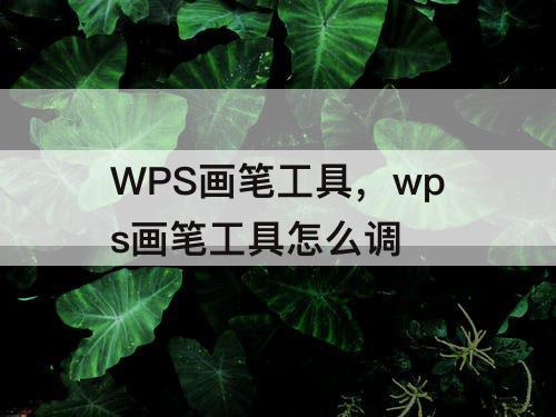 WPS画笔工具，wps画笔工具怎么调