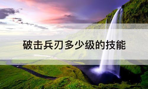 破击兵刃多少级的技能