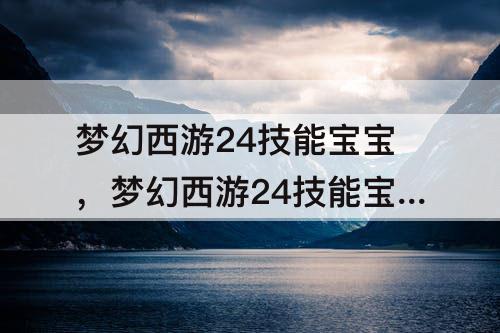 梦幻西游24技能宝宝，梦幻西游24技能宝宝多少钱