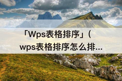 「Wps表格排序」(wps表格排序怎么排列顺序1—0101)