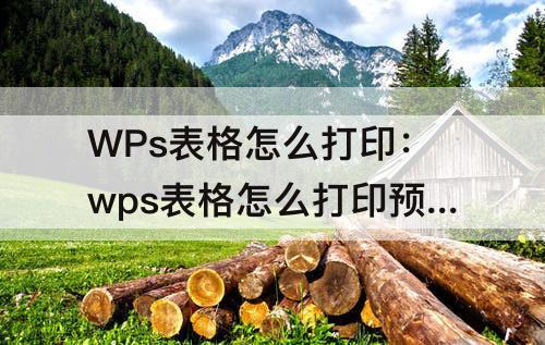 WPs表格怎么打印：wps表格怎么打印预览多个表格