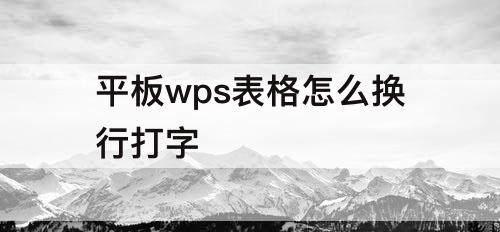平板wps表格怎么换行打字