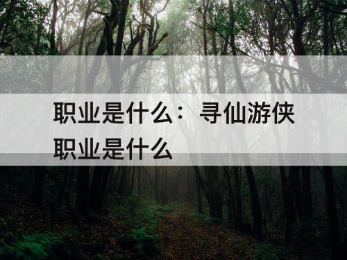 职业是什么：寻仙游侠职业是什么
