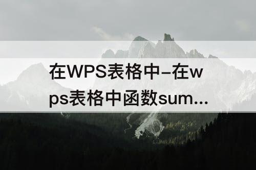 在WPS表格中-在wps表格中函数sum的功能是