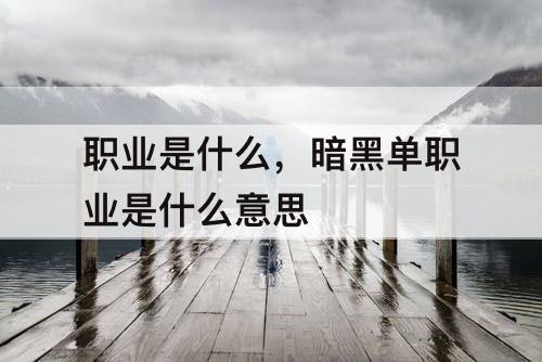 职业是什么，暗黑单职业是什么意思