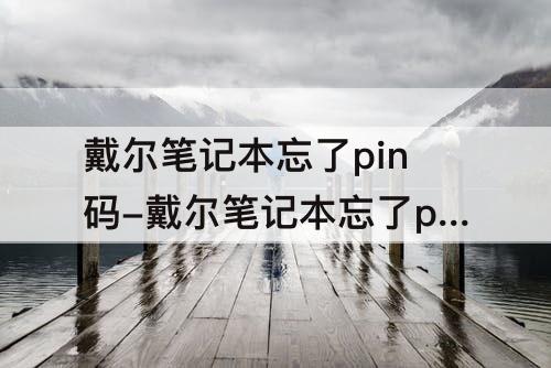 戴尔笔记本忘了pin码-戴尔笔记本忘了pin码怎么开机