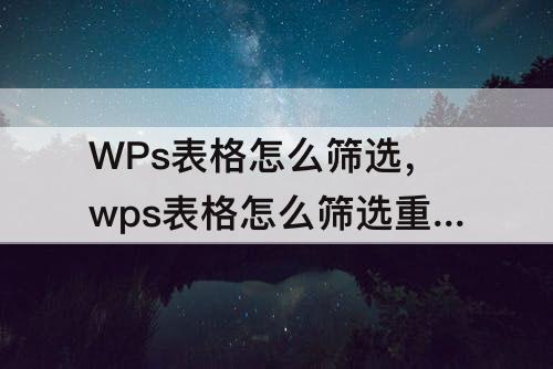 WPs表格怎么筛选，wps表格怎么筛选重复数据 并列