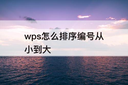 wps怎么排序编号从小到大