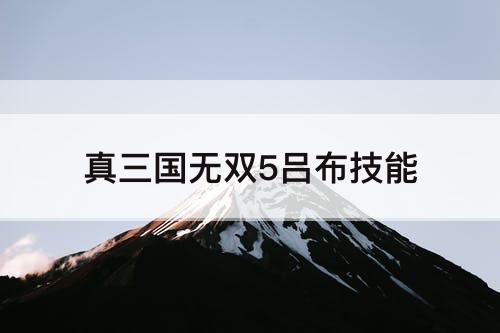 真三国无双5吕布技能