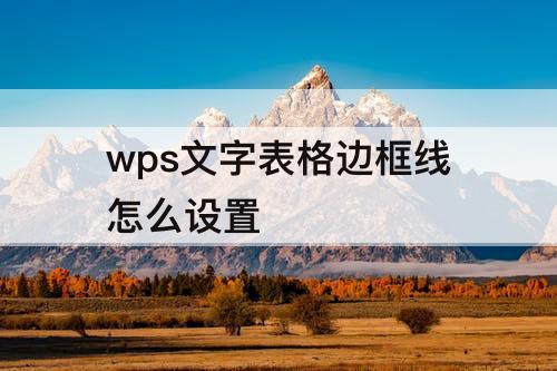 wps文字表格边框线怎么设置